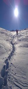 Treading lightly in the snow